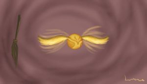 Golden Snitch, Warner Bros. Entertainment Wiki